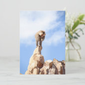 山の上のバブーンモンキー サンキューカード (スタンド正面)