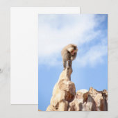 山の上のバブーンモンキー サンキューカード (正面/裏面)