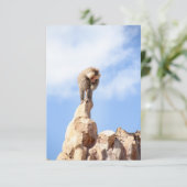 山の上のバブーンモンキー サンキューカード (スタンド正面)