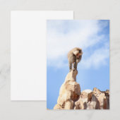 山の上のバブーンモンキー サンキューカード (正面/裏面)