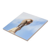 山の上のバブーンモンキー タイル (側面)