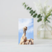 山の上のバブーンモンキー 名刺 (スタンド正面)