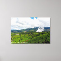 山の丘の茶畑の風景写真