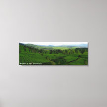 山の丘の茶畑の風景写真