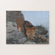 山の中のライオン(Richard Friese)