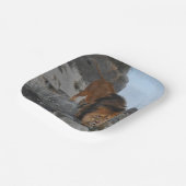 山の中のライオン(Richard Friese) ペーパープレート (傾斜あり)