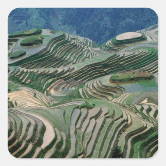 山の中の棚田の風景、 スクエアシール (正面)