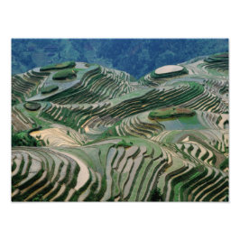 山の中の棚田の風景、 フォトプリント           