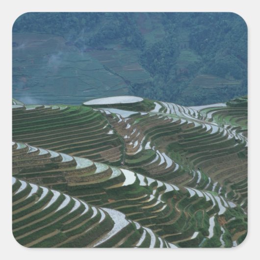 山の中の棚田の風景, 2 スクエアシール (正面)