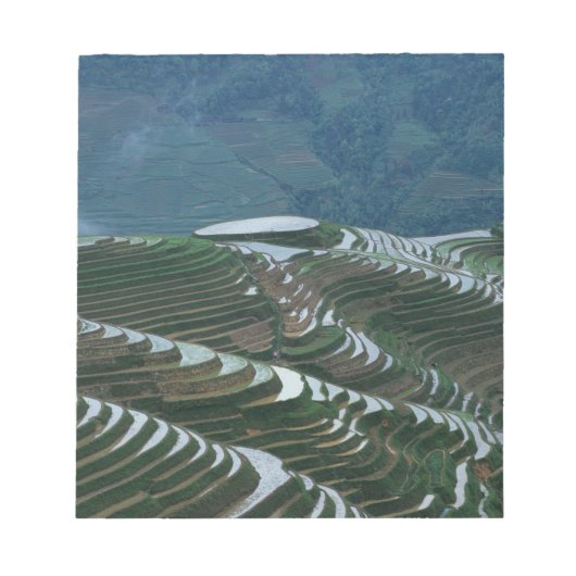 山の中の棚田の風景, 2 ノートパッド (正面)