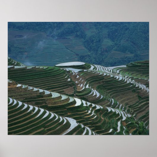 山の中の棚田の風景, 2 ポスター (正面)