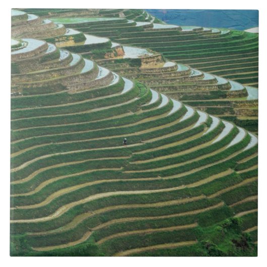 山の中の棚田の風景, 3 タイル (正面)
