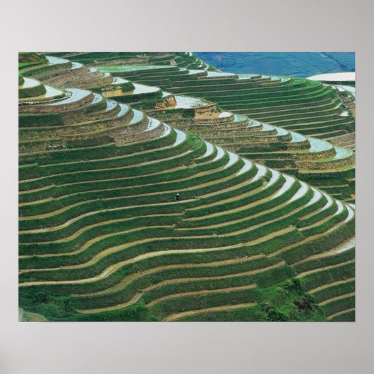 山の中の棚田の風景, 3 ポスター (正面)