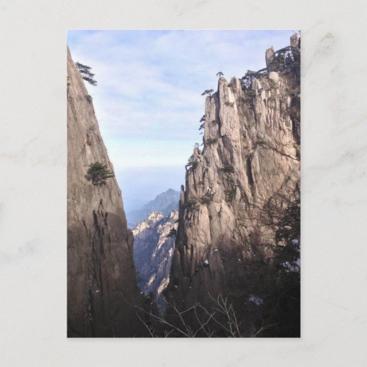 山の中の詰め物 ポストカード (正面)