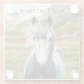 山の中の野生の灰色の馬 ガラスコースター (裏面)