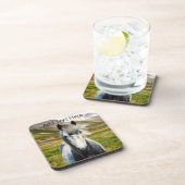 山の中の野生の灰色の馬 コースター (右側)