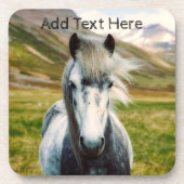 山の中の野生の灰色の馬 コースター (正面)