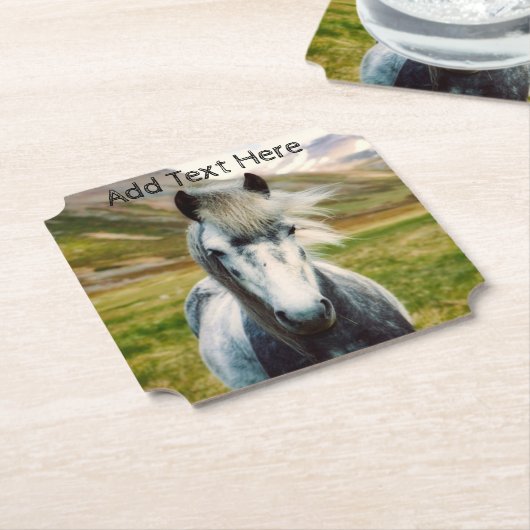 山の中の野生の灰色の馬 ペーパーコースター (アングル)