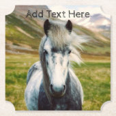 山の中の野生の灰色の馬 ペーパーコースター (正面)
