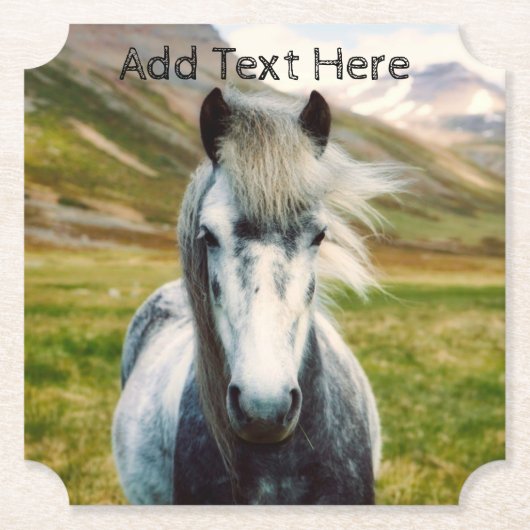 山の中の野生の灰色の馬 ペーパーコースター (正面)