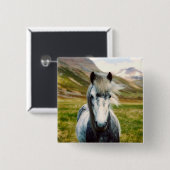 山の中の野生の灰色の馬 缶バッジ (正面&裏面)