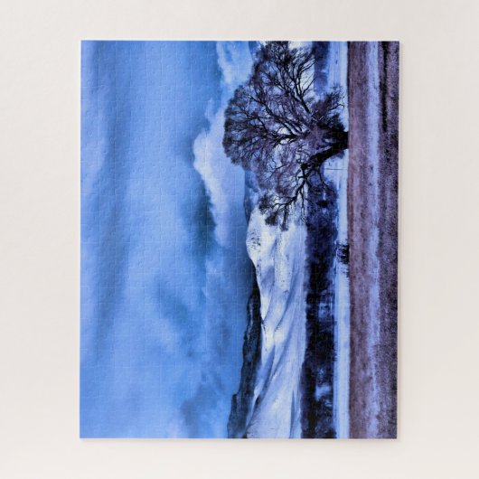 山の冬の嵐の醸造 – 16x20インチ ジグソーパズル (縦)