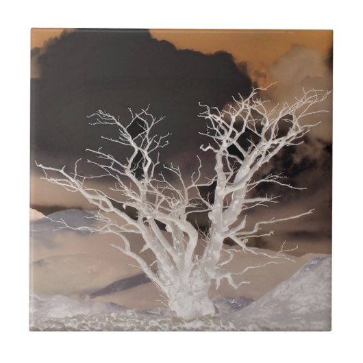 山の冬 タイル (正面)