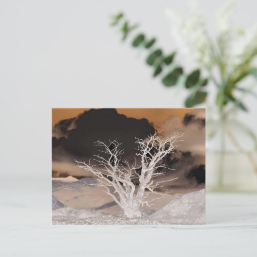 山の冬 ポストカード (スタンド正面)