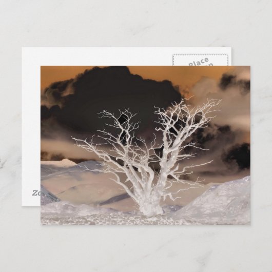 山の冬 ポストカード (正面/裏面)