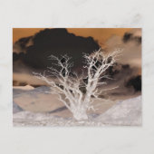 山の冬 ポストカード (正面)