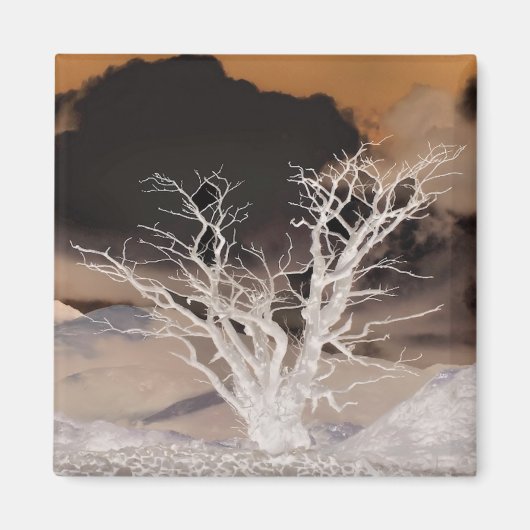 山の冬 マグネット (正面)