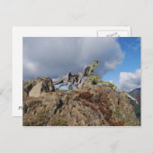 山の古木 ポストカード (正面/裏面)