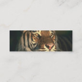 山の家のトラの接触カード コーリングカード (裏面)