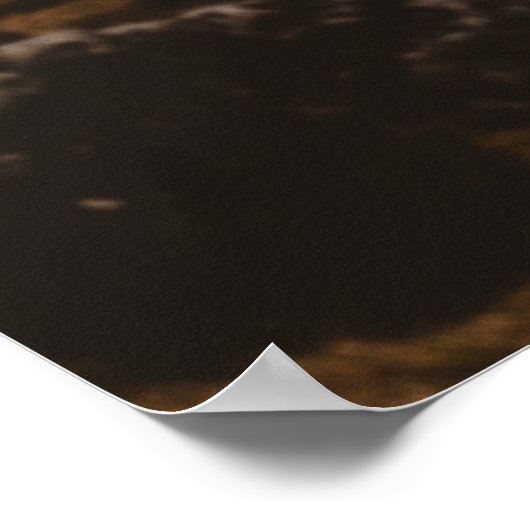 山の家の3分の1の写真のルール ポスター (角)