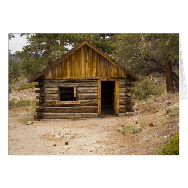 山の小屋 (正面横)