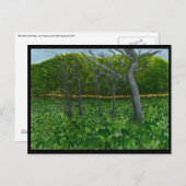 山の平静の郵便はがき ポストカード (正面/裏面)