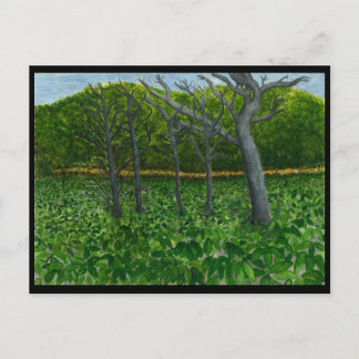 山の平静の郵便はがき ポストカード