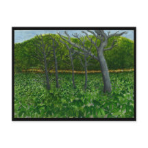 山の平静の郵便はがき