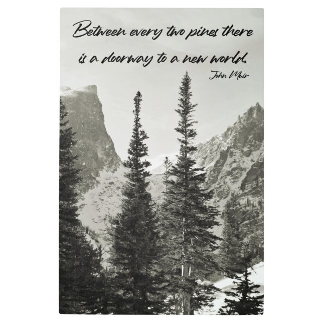 山の新しい世界への入り口 メタルプリント (正面)