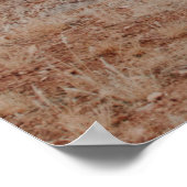 山の景観写真 ポスター (角)