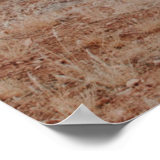 山の景観写真 ポスター (角)