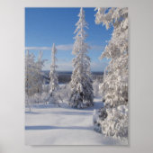 山の木1 ポスター (正面)