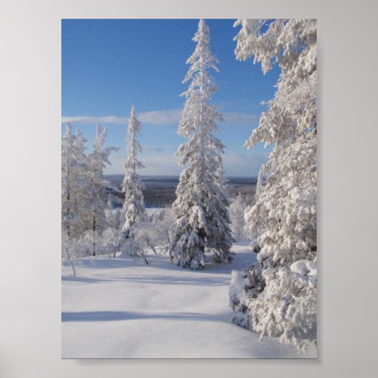 山の木1 ポスター (正面)