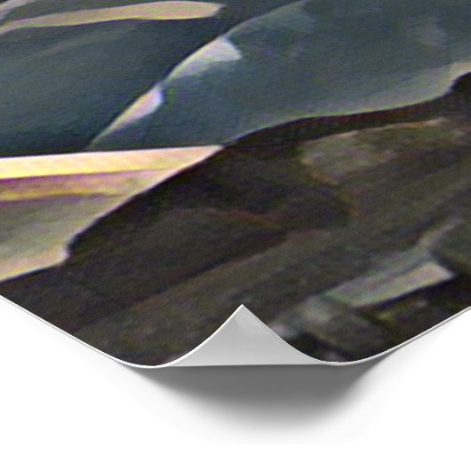 山の木 ポスター (角)