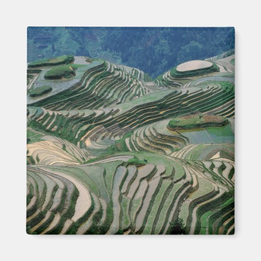 山の棚田の風景 マグネット (正面)