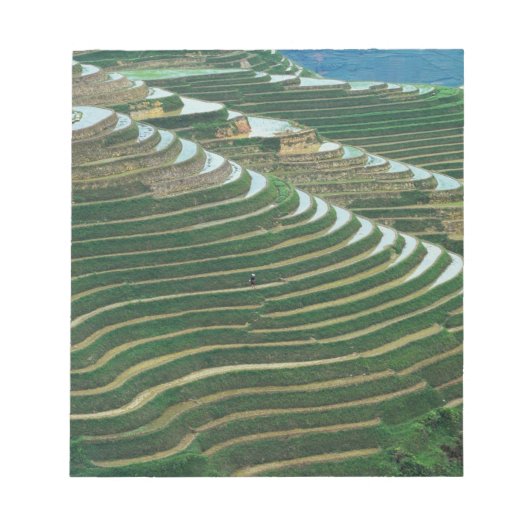 山の棚田の風景， 3 ノートパッド (正面)