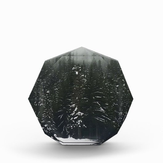山の森の冬 フォトブロック (正面)