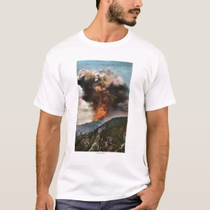 山の森林火災の眺め Tシャツ