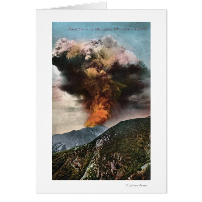 山の森林火災ビュー (正面)