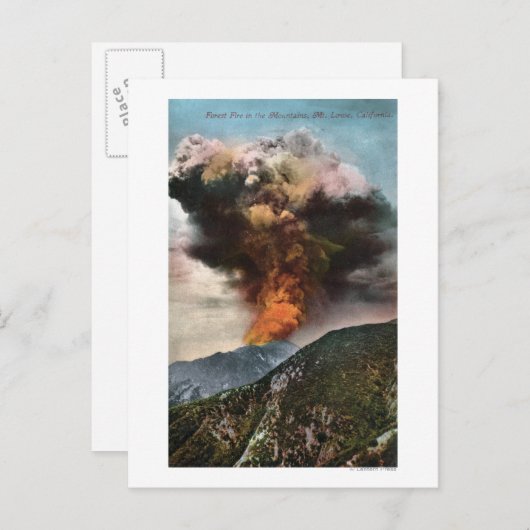 山の森林火災ビュー ポストカード (正面/裏面)